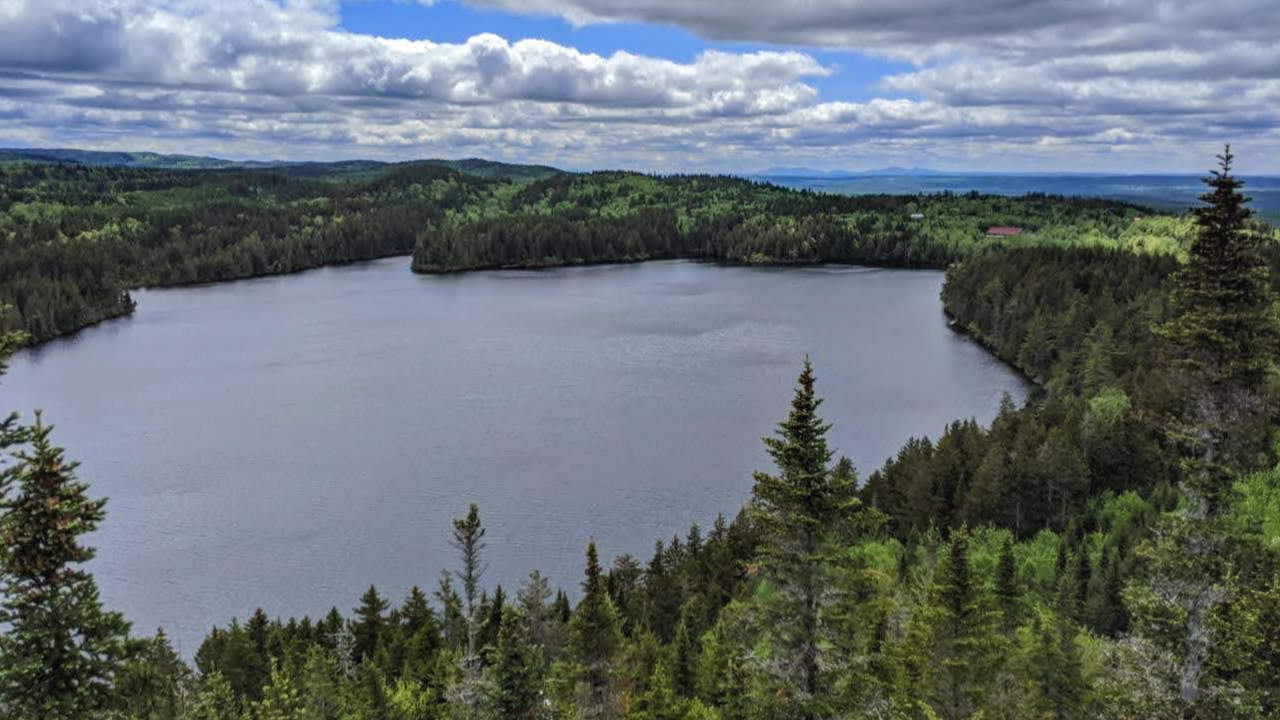 vue aérienne du lac des cygnes dans la ZEC Jaro